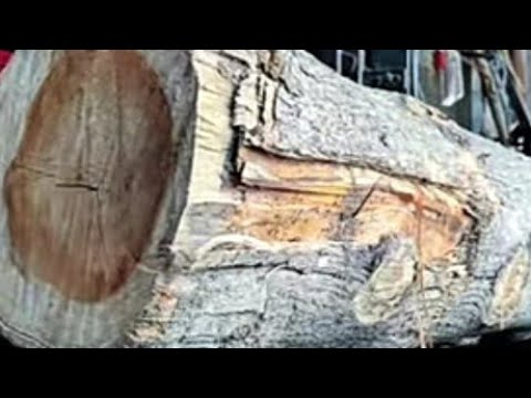 gergaji kayu jati bahan pintu masjid seratnya menyerupai taman syurga di sawmill.woodworking