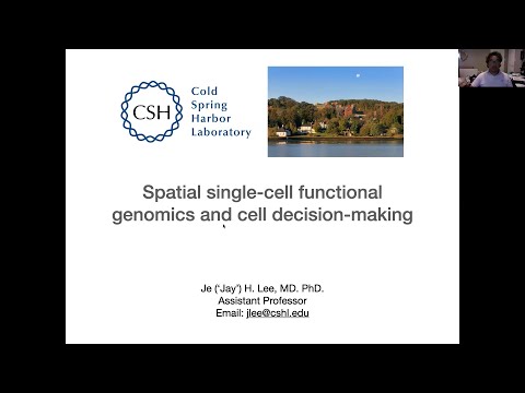 Spatial single-cell functional genomics and cell decision-making