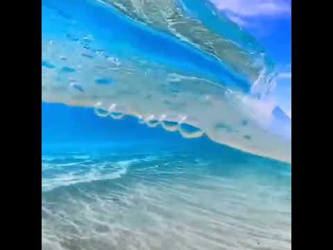 Ajoyib atmosfera sizga hamroh boʻlsin