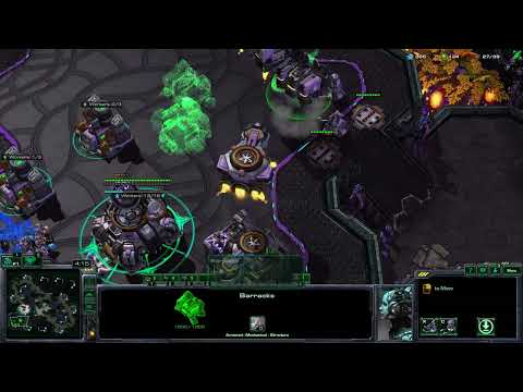 TvT Sky-terran meets cheese!