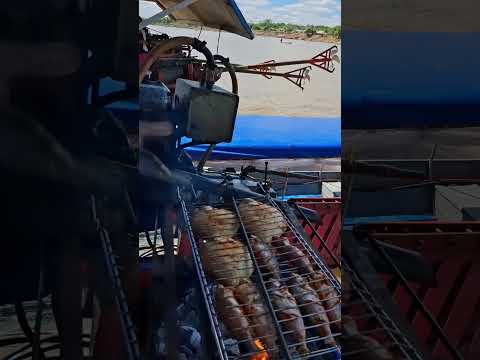 Porto de cruzeiro do sul acre