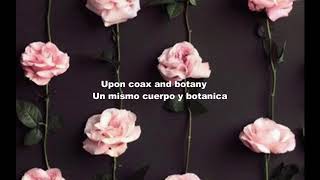 Gus Dapperton - Coax &amp; Botany ( Letra x Lyrics )