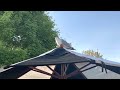Squawking Seagull