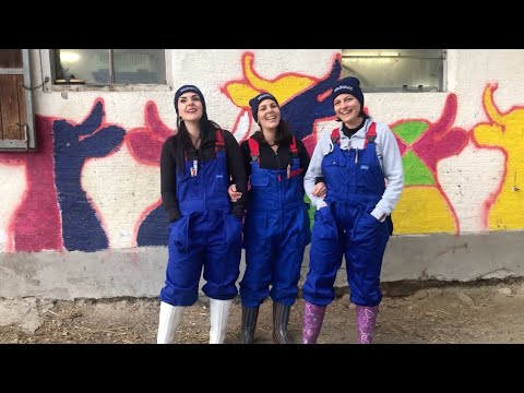 Die Hollerstauden | KuhArt mit Theresia Innerhofer (Teil 1)