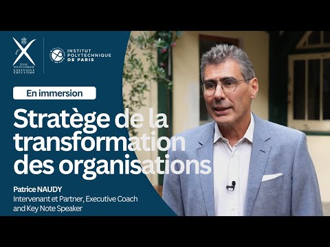 En immersion - Stratège de la Transformation des Organisations