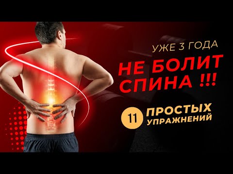 Как вылечить спину: 11 простых упражнений для здоровья спины