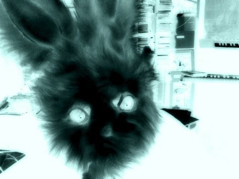 23rd abDUBction featuring RHEDCERULEAN on melodica.