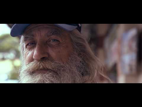 Raízes video
