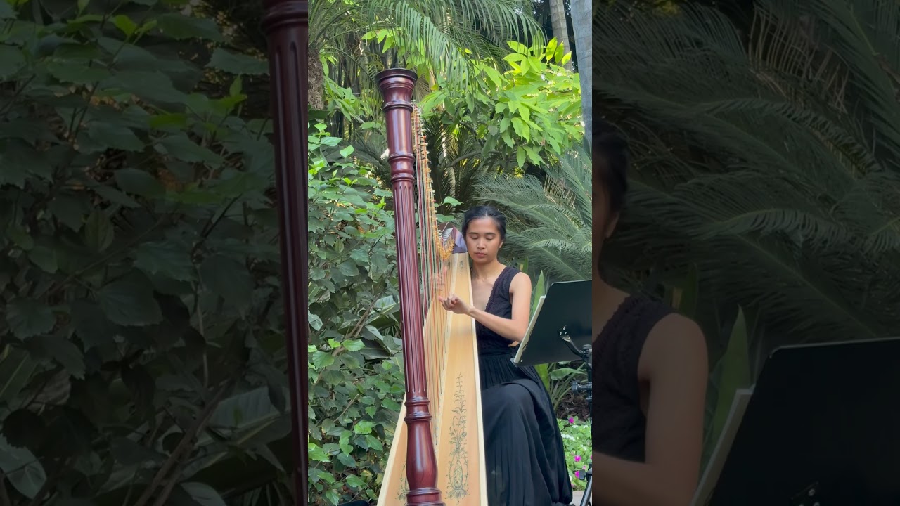 Promotional video thumbnail 2 for Hannah's Harp