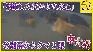 「もう避けられない」分離帯からクマ3頭飛び出し新車大破…修理費150万円超　夜の運転「目が光ったら注意」