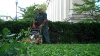 Fred Perez using mower