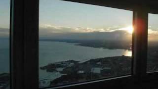 Who do you Love (Live in Love) (Chris Rea)