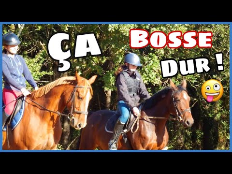 [COURS] Cessions de nuques ! 😊 10/10/20 - CS'o Landreau