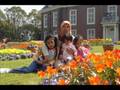 SWEET MEMORIES