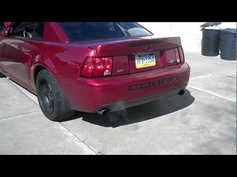 03 SVT Cam'd Cobra Idle