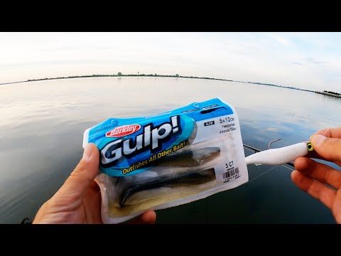 Berkley Gulp! Paddleshad for Striped Bass & Blue Fish | NYC