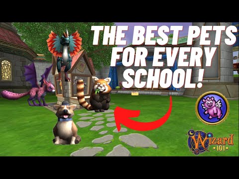 Wizard101| The BEST Pets For NEW Wizards (ALL SCHOOLS)