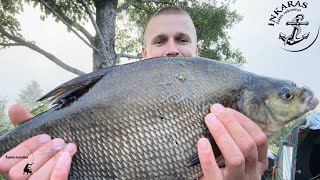 Bombine žvejyba method feederiu senoje užtvankoje