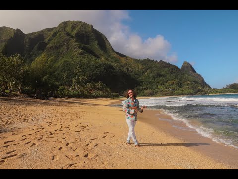 WhileWild - Hawaii (Official Music Video) 4K