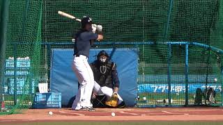 [分享] 最終戰王柏融賽前練習畫面流出