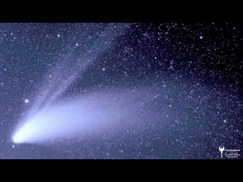 META MORPHOSIS // Trailer Deutsch [HD]