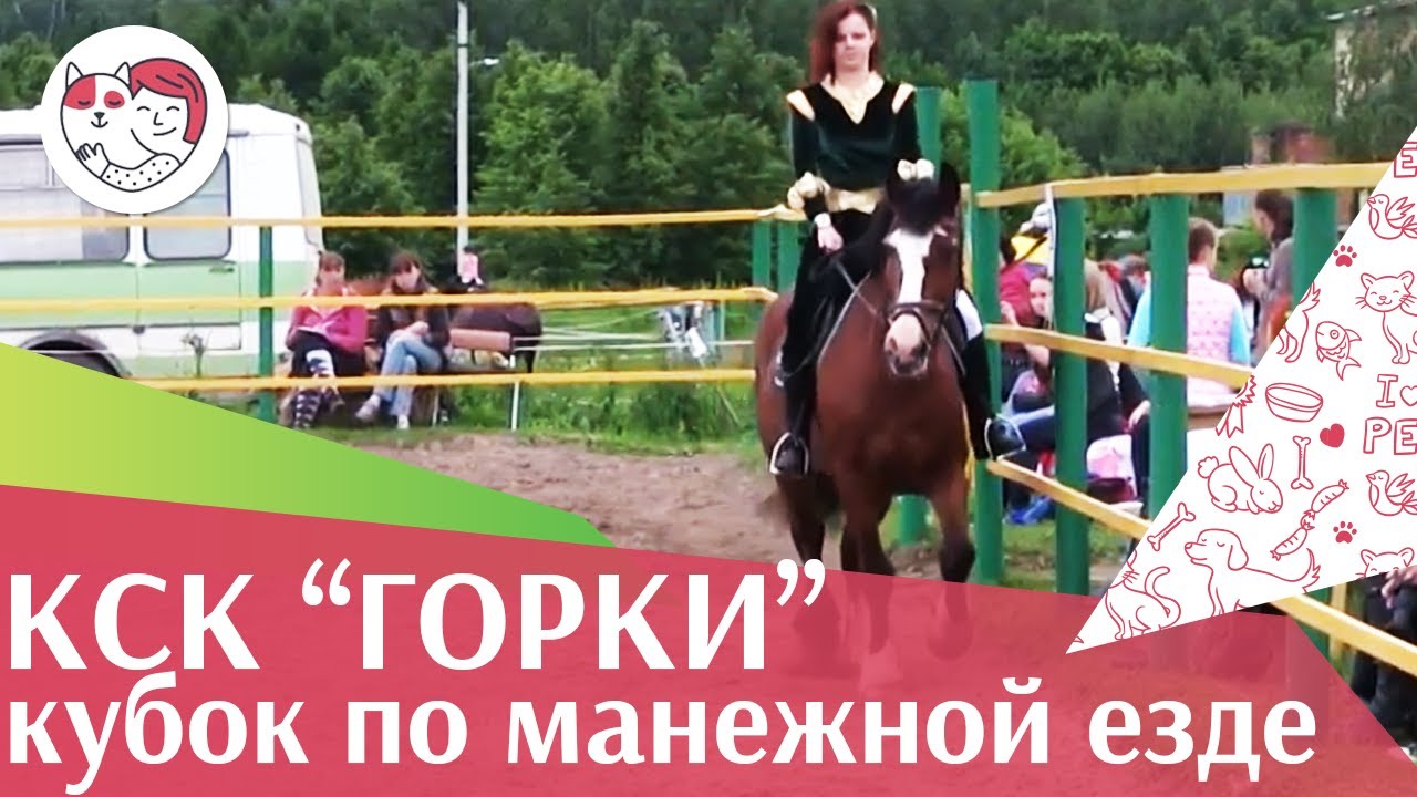 Летний кубок КСК Горки по манежной езде КЮР часть 10 на ilikepet