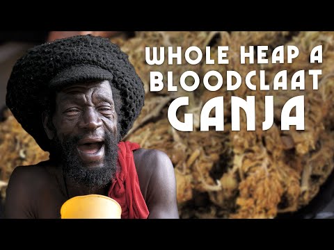 Whole heap a Bloodclaat Ganja! Red like FIRE! Cut Scene