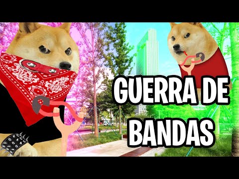 EL COMIENZO | GUERRA DE BANDAS CON UNOS NIÑOS CON DERECHO