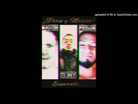 Lame Bicho - David Avila 🇵🇪 X Tony 🇲🇽 X Primo 🇲🇽 X