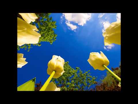 QUE LINDO ES SENTIR A DIOS- Manantial de inspiración, IPUC