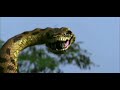 Anaconda 4 Anaconda Screen Time