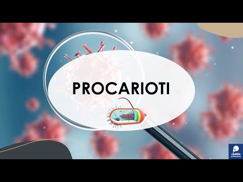 I procarioti