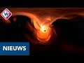 Zwart gat gefotografeerd: 'Het is alsof je een foto neemt van een vlieg op de maan' - OMROEP WEST