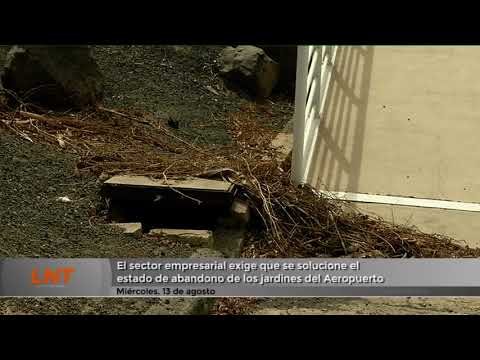 Empresarios turísticos critican a Aena por el abandono de jardines en Lanzarote