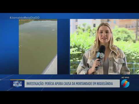 Investigação apura causa de mortandade de peixes em Niquelândia