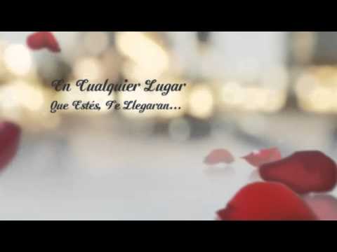 download lagu mp3 mp4 Joyerias En Pereira, download lagu Joyerias En Pereira gratis, unduh video klip Joyerias En Pereira