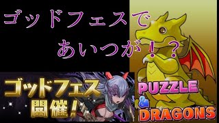 【パズドラ実況】ゴッドフェスが開催！果たしてオーナーの結果は...！？