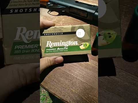 Terrifying Futuristic Shotgun Sabot Slugs