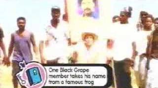 Black Grape - In the name of the father