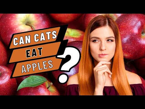 Feline Fruit Frenzy: Can Cats Eat Apples? The Surprising Answer!