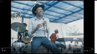 SMART (1985), an unique and very rare Dutch blues documentary. video