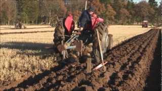 preview picture of video 'Massey Ferguson @ Forfar Ploughing 3. 2012'