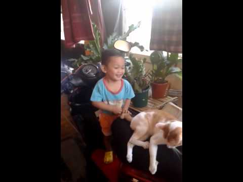 Oziel gemas sama kucing