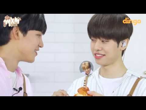 [ENG SUB] MXM Dingo Cooking Live (BTS)