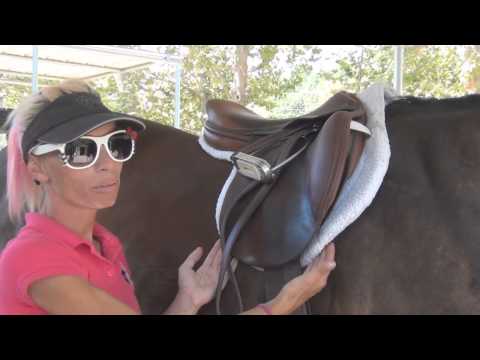 Hunter Tack Vs. Jumper Tack