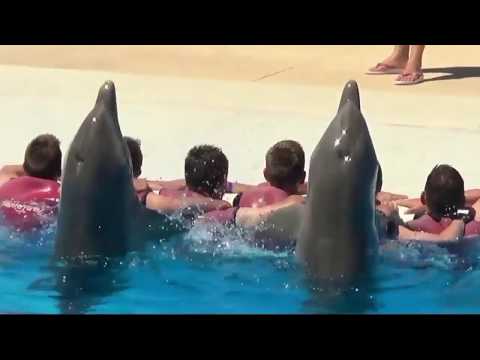 Intensivsprachwoche in Malta