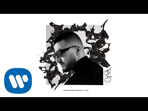 BAO - otuz5 (Visualizer)