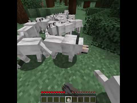 How We Finally Got Dogs in the 100 by 100 Minecraft World