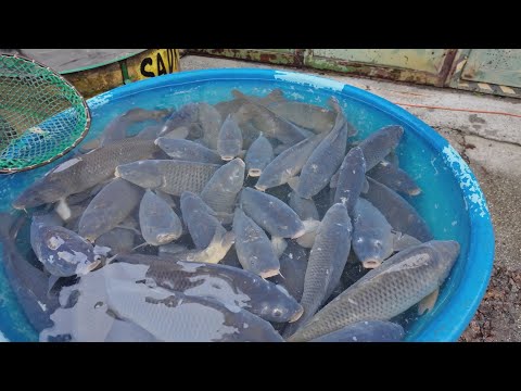 Přerovské aktuality - 22. 12. 2025