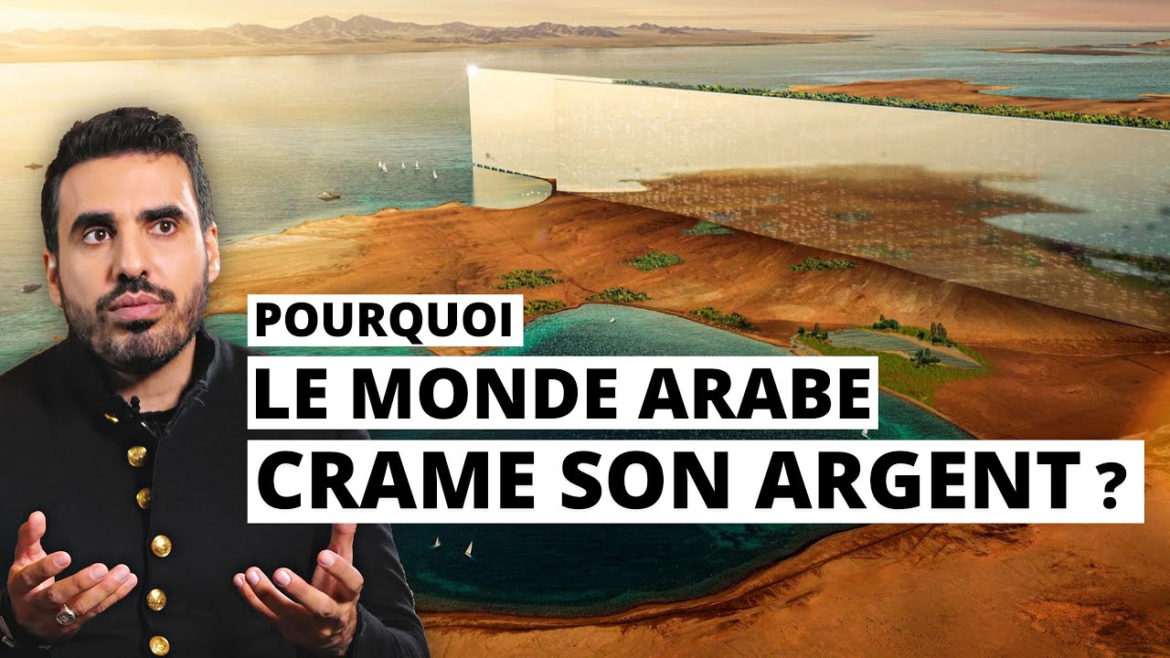 Pourquoi le monde Arabe déconne avec son argent ? | Idriss Aberkane